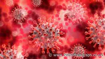 Why comparing Covid-19 outcomes, north and south, matters less than keeping the mortality rate of the virus down
