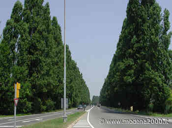 A Carpi, grazie a nuove videocamere, aumentano gli incroci “sicuri“ - Modena 2000