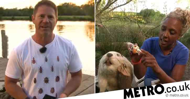 Springwatch’s Steve Backshall leaves fans in hysterics with awkward ‘Gillian Burke beaver’ blunder