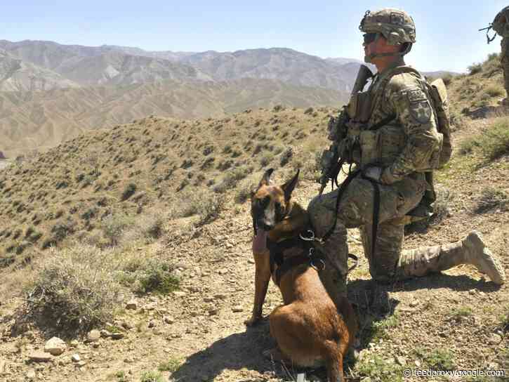 We lost the war in Afghanistan — time to come home