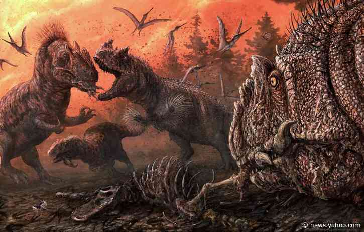 In lean times, fierce dinosaur Allosaurus resorted to cannibalism
