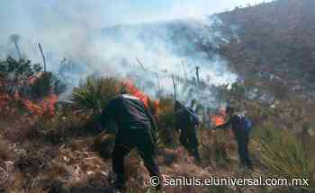 Más de 2 mil hectáreas siniestradas por incendios en San Luis Potosí: PC | San Luis - El Universal