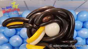 An Edmonton performer is taking his skills to new heights - CTV News Edmonton