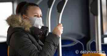 89 tickets have been issued for public health act violations in Edmonton | News - Daily Hive