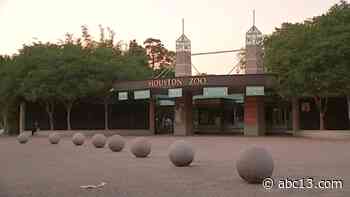 Houston Zoo's site crashes on first day of ticket sales - KTRK-TV