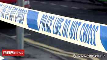 Scunthorpe murder suspects released on bail