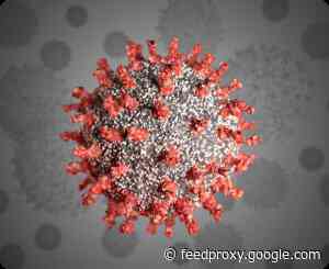 New CDC estimate puts COVID-19 death rate at 0.26%