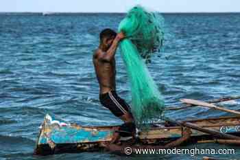 New Trawlers Arrive From China As Ghana’s Fisheries Teeter On Brink Of Collapse - Modern Ghana