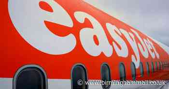 Easyjet cuts 30 per cent of staff and dramatically reduce fleet