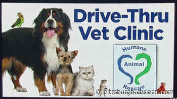 Humane Animal Rescue Offering Drive-Thru Clinic For Pets