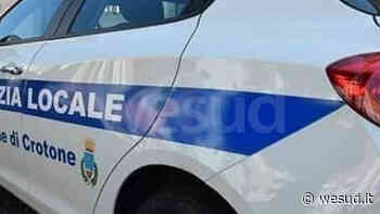 Crotone, denunce e sanzioni della Polizia Locale in città e in periferia | wesud News - wesud