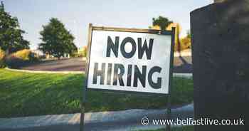 Northern Ireland jobs available now - Belfast Live