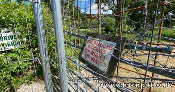 Beauty spot visitors 'break through fence' despite closure