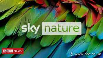Sky Q kicks off HDR support starting with on-demand nature shows