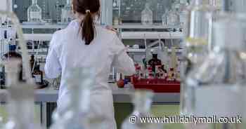 High Street Covid antibody tests temporarily banned
