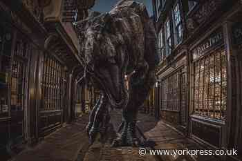 Creatures fill empty streets of York in photographer's new pictures