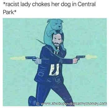 Racist Lady Chokes Her Dog In Central Park – Meme
