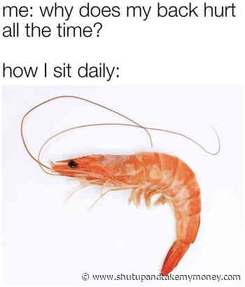 Me Why Does My Back Hurt All The Time? How I Sit Daily Meme