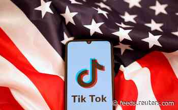 Democrats urge probe of allegations regarding TikTok and children's privacy