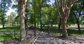 Arrest after man spotted in X-rated act in park