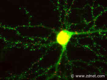 A closer look at Azure Synapse Link