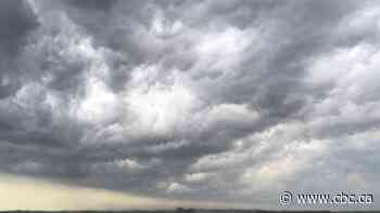 Heavy rain in forecast as special weather statement issued for Toronto