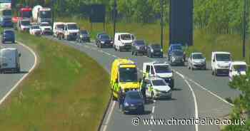 Woman in distress brought to safety near Central Motorway flyover in Newcastle