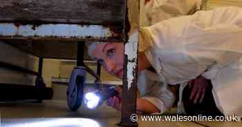 All the places in Swansea given a one or zero food hygiene rating