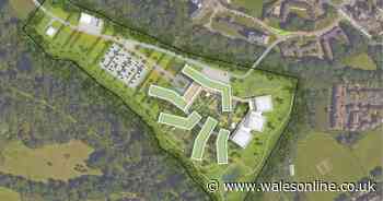 Thousands sign petition against building of Cardiff's new £180m cancer hospital