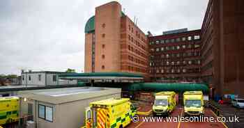 The hospital figures which show how Wales is beating the pandemic