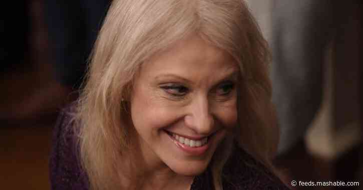 Kellyanne Conway unleashes trolls on Twitter's head of site integrity