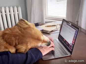 Watch the newest commercials on TV from 3M, Mastercard, Starbucks and more