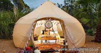 12 ways to create a magical lockdown music festival in your garden