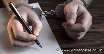 The plan to build a new 'custody suite' in Llanelli with 18 cells