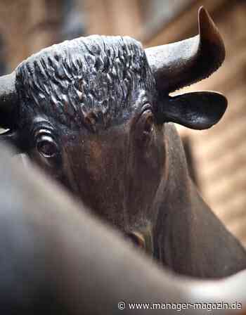 qqKursgewinne: Börsenrally - Dax mit 40 Prozent Kursplus in 10 Wochen