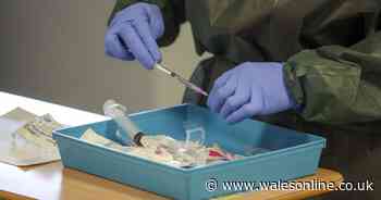 A look to see if UK has got world's worst coronavirus record