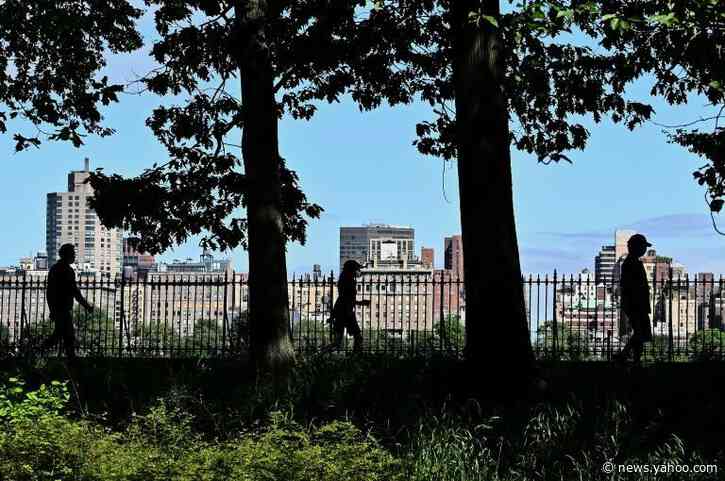 Anger as white woman reports black birdwatcher in Central Park to police