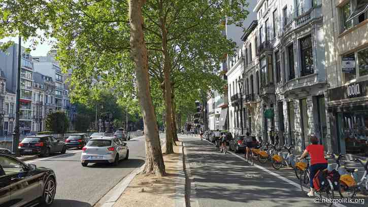 Was vom Tage übrig blieb: Tracingleck, Toterklärung, Transparenz