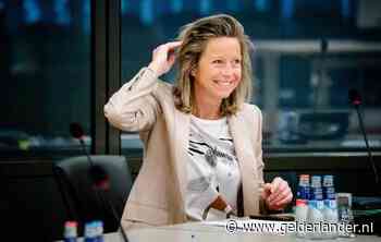 Ollongren haakt af in strijd om lijsttrekkerschap D66