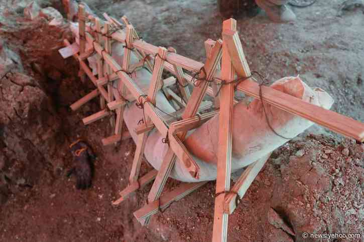 Mammoth skeletons dug up at Mexico City airport construction site