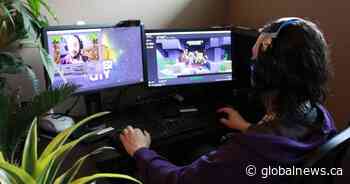 Alberta business launches virtual Minecraft day camps amid COVID-19 pandemic
