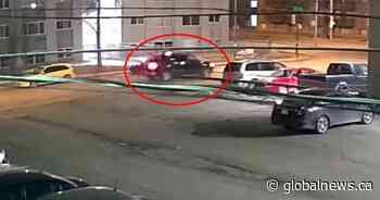 Video shows truck reportedly involved in Tanya Alcrow’s shooting death: Saskatoon police