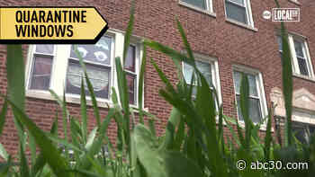 Quarantine window art brings joy to this Chicago neighborhood