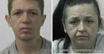 Prolific thieves threw hand wash and signs at security guard as they stole booze