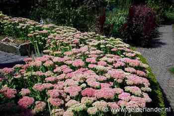 Joke moet na 38 jaar grond inleveren aan gemeente: ‘Ik moet 2000 euro betalen, dat heb ik momenteel niet’