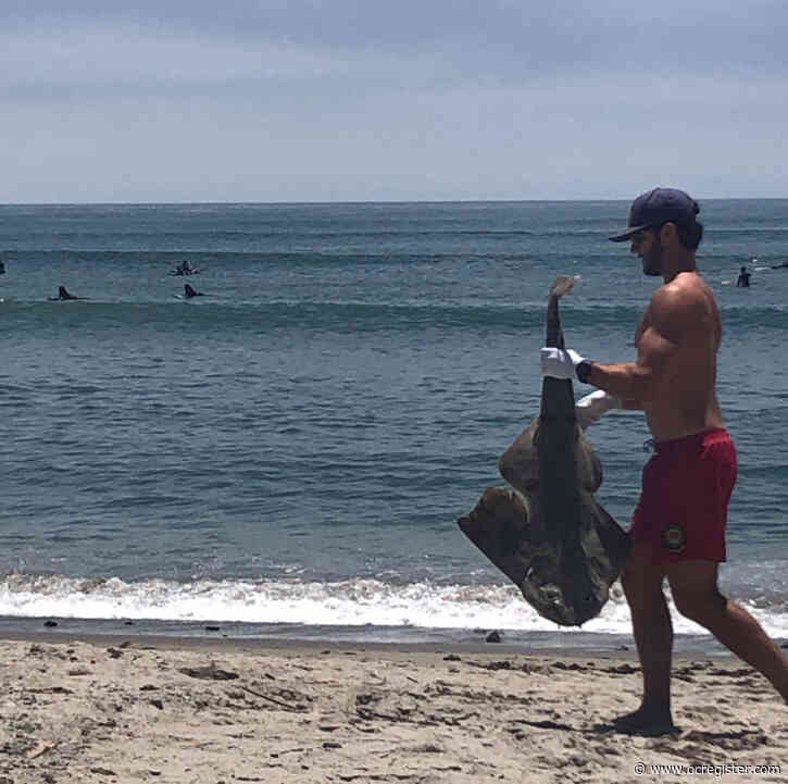 What’s an Angel Shark and why are they washing up dead at Doheny State Beach?