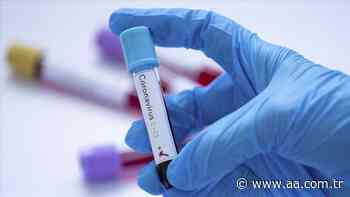 Egypt records highest daily coronavirus cases - Anadolu Agency