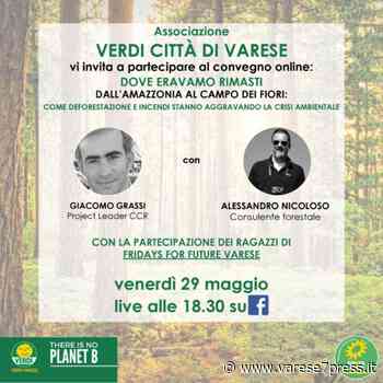 I Verdi di Varese parlano di danni ambientali in Amazzonia e Thailandia: venerdì diretta FB con - Varese7Press