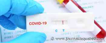 COVID-19: un test de dépistage sérologique bientôt disponible au Saguenay–Lac-Saint-Jean