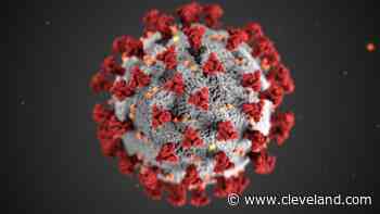 Could common cold antibodies fend off the coronavirus? See the latest scientific research - cleveland.com